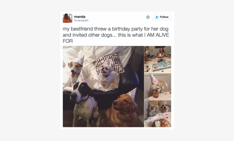 31 Hilarious Times Twitter Had Thoughts About The Majesty - Birthday, transparent png download