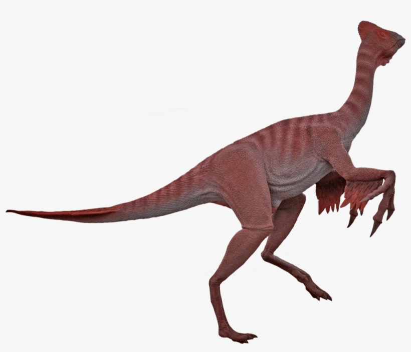 Oviraptor - Dinosaurs Png Moab Giants, transparent png download