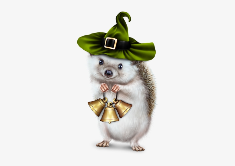 Funny Animal - Animal, transparent png download