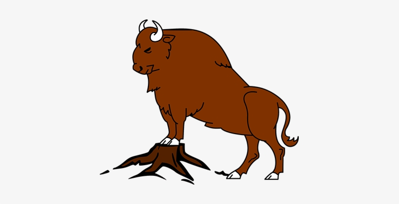 Buffalo, Bison, Bull, Beast, Wildlife - Bufalo Desenho Png, transparent png download