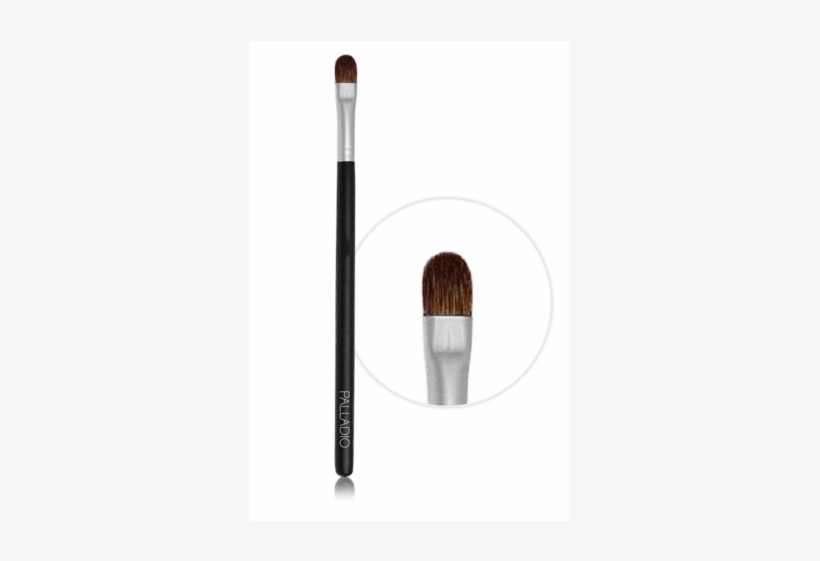 Palladio Shadow Flat Brush - Brush, transparent png download