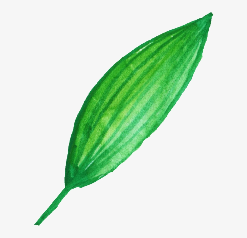 Free Download - Mint Leaf Png, transparent png download