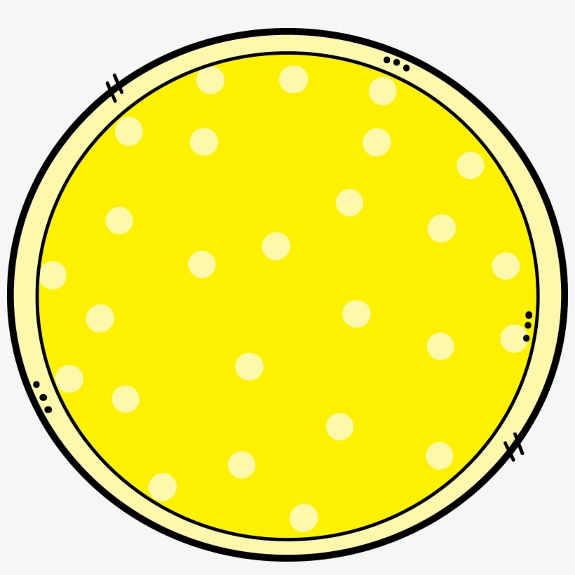 Students Could Also Use The Web Search Tool In Piccollage - Circle, transparent png download