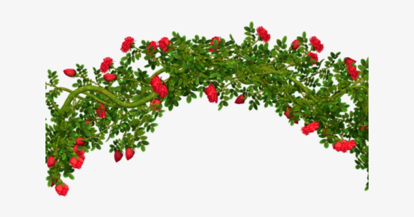 Shrub Free On Dumielauxepices Net Rosebush - Rose Arch Clip Art, transparent png download
