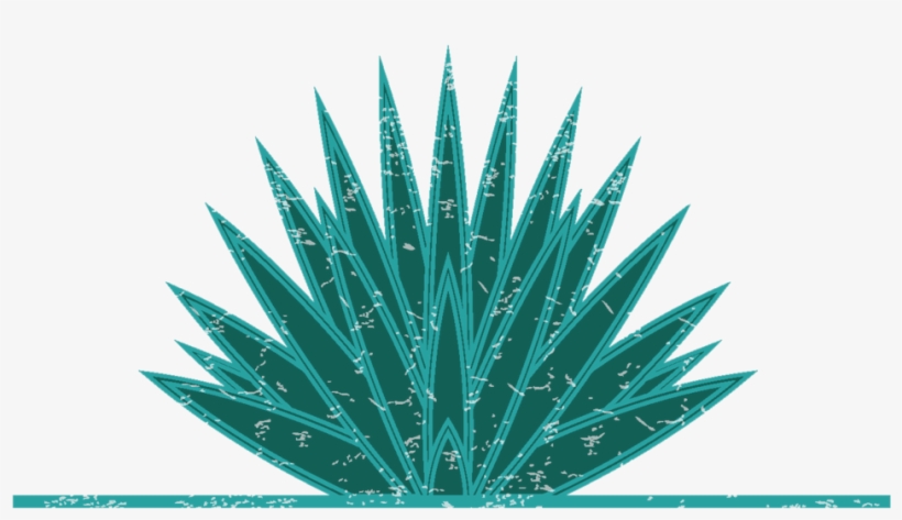 Agave Mock 2018 - Agave Png, transparent png download