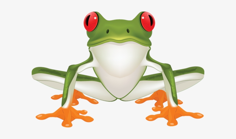 Jpg Library Image Of Clip Art Clipartoons - Clip Art Tree Frog, transparent png download