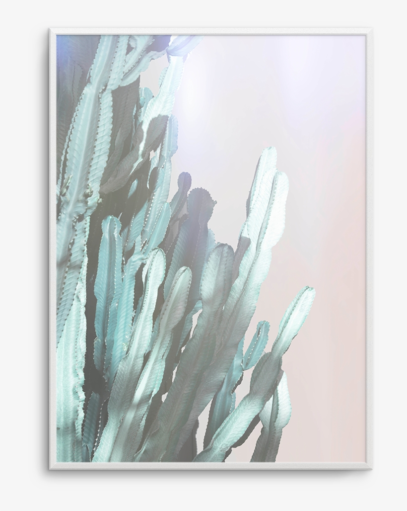 Dreamy Cactus No 1, transparent png download