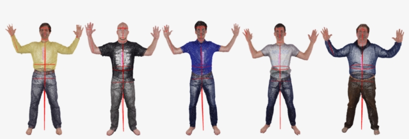 Extracted Anthropometric Measurements For Five Exemplary - Gentleman, transparent png download