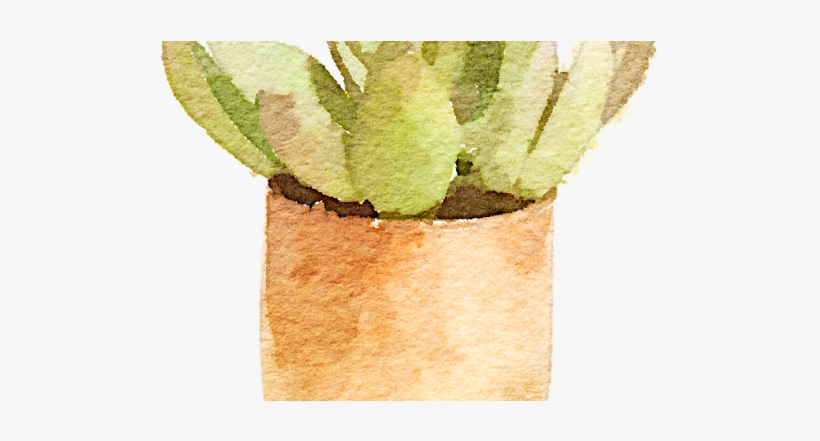 Hghghg-600x360 - You Are Succulent, transparent png download