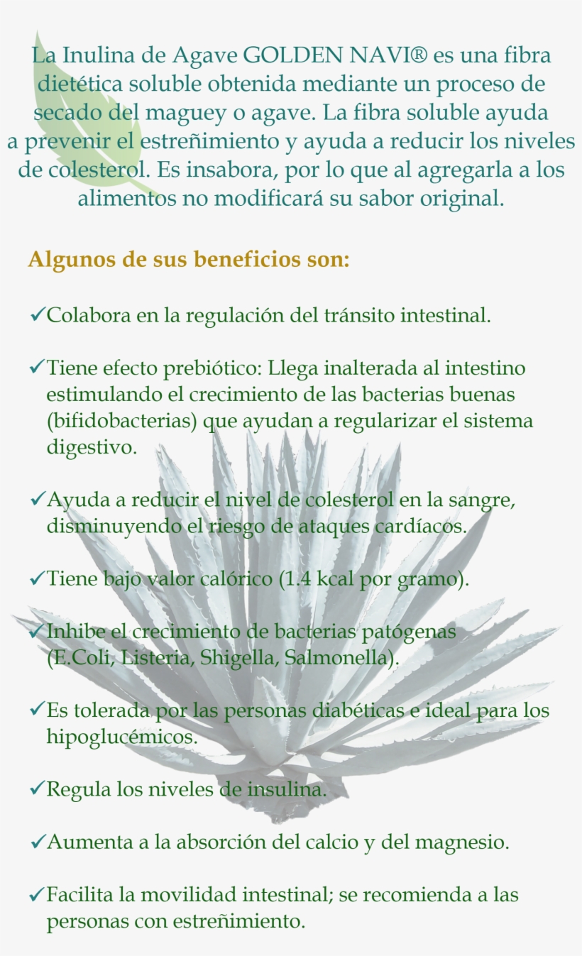 Inulina De Agave - Document, transparent png download
