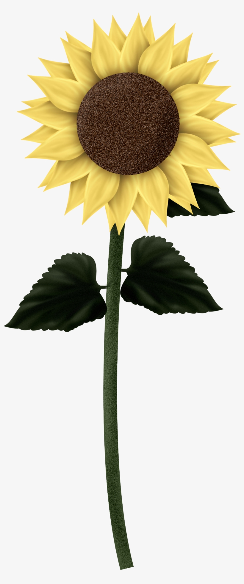 Sunflowers - .png Sunflowers, transparent png download