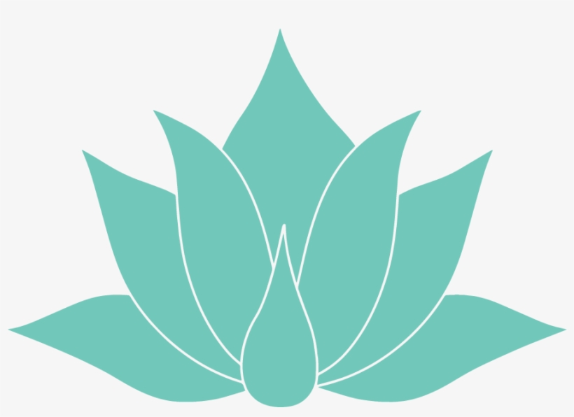 Agave-med - Facebook, transparent png download