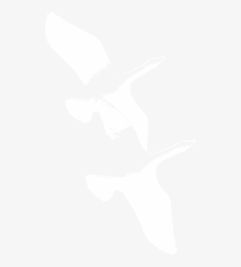 Smalefamilyfoundation Logo Birds, transparent png download