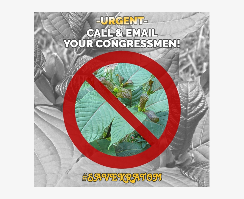 *urgent* Call & Email Your Congressmen, transparent png download