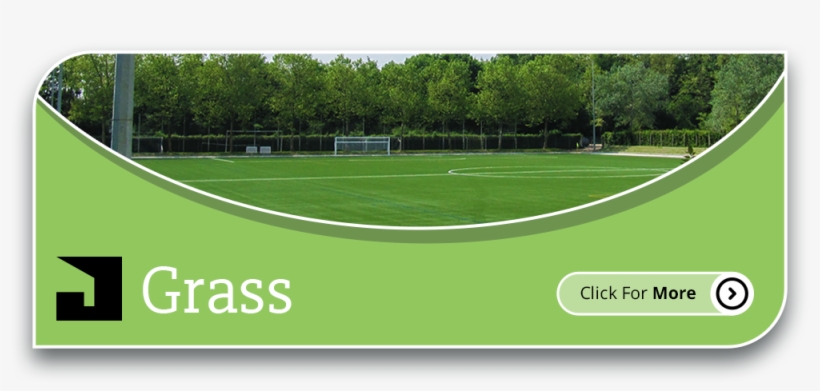 That's Why, When You Work With Juta, You Will Experience, transparent png download