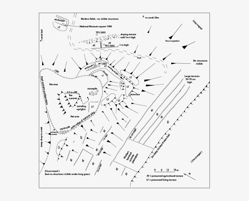 1115, transparent png download