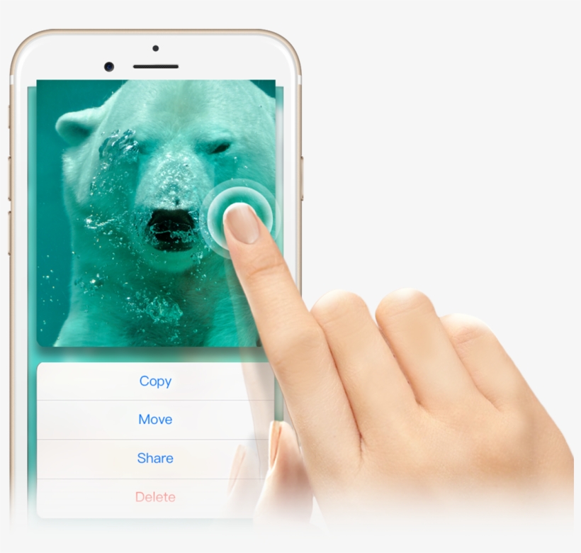 Product Image, transparent png download