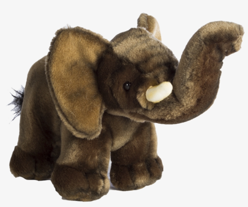 Baby Elephant, transparent png download