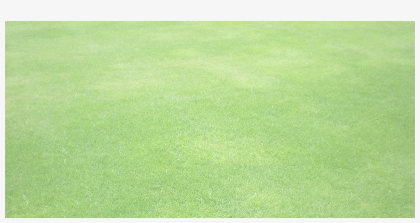Adams Golf Clubs, transparent png download