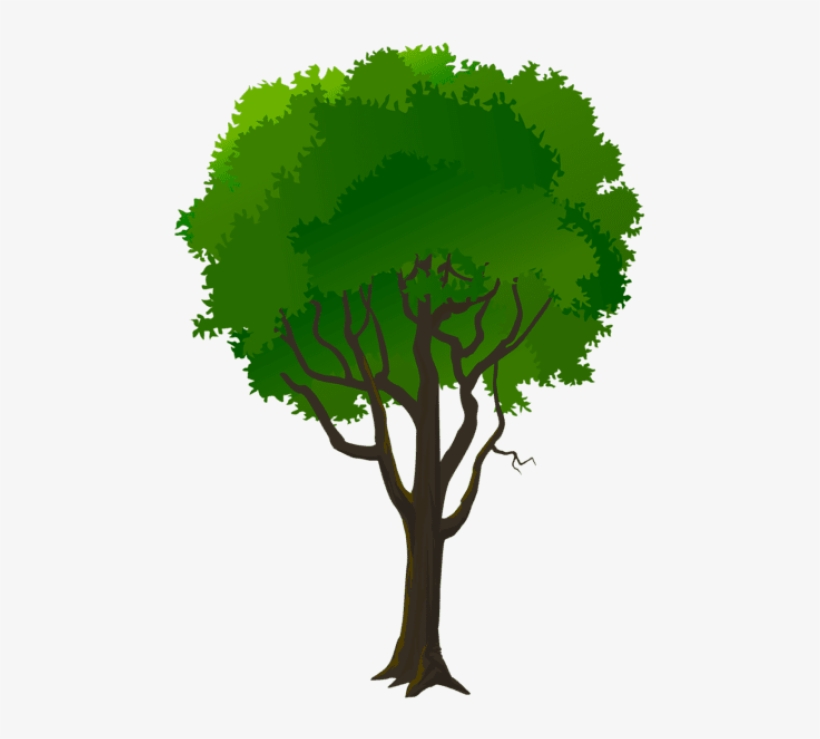 Free Png Download Tree Decorative Transparent Png Images, transparent png download