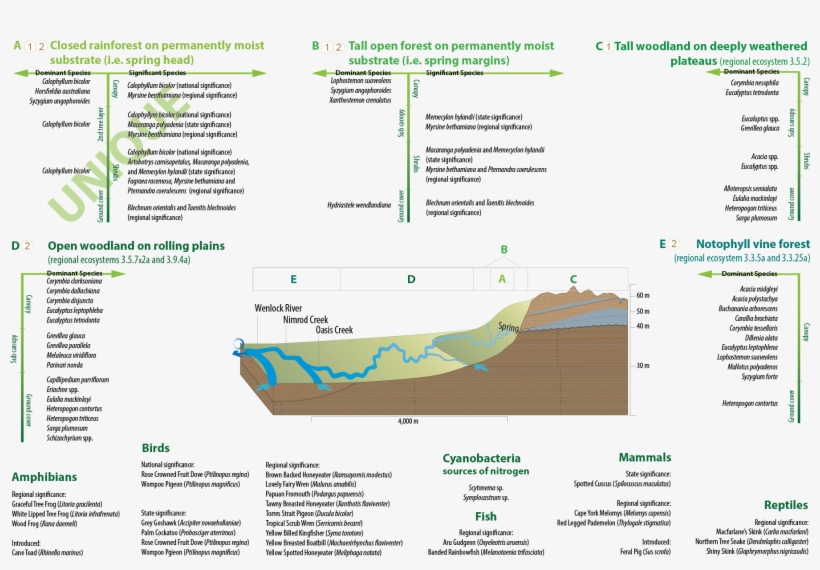 Click On Elements Of The Model Or Select From The Tabs, transparent png download