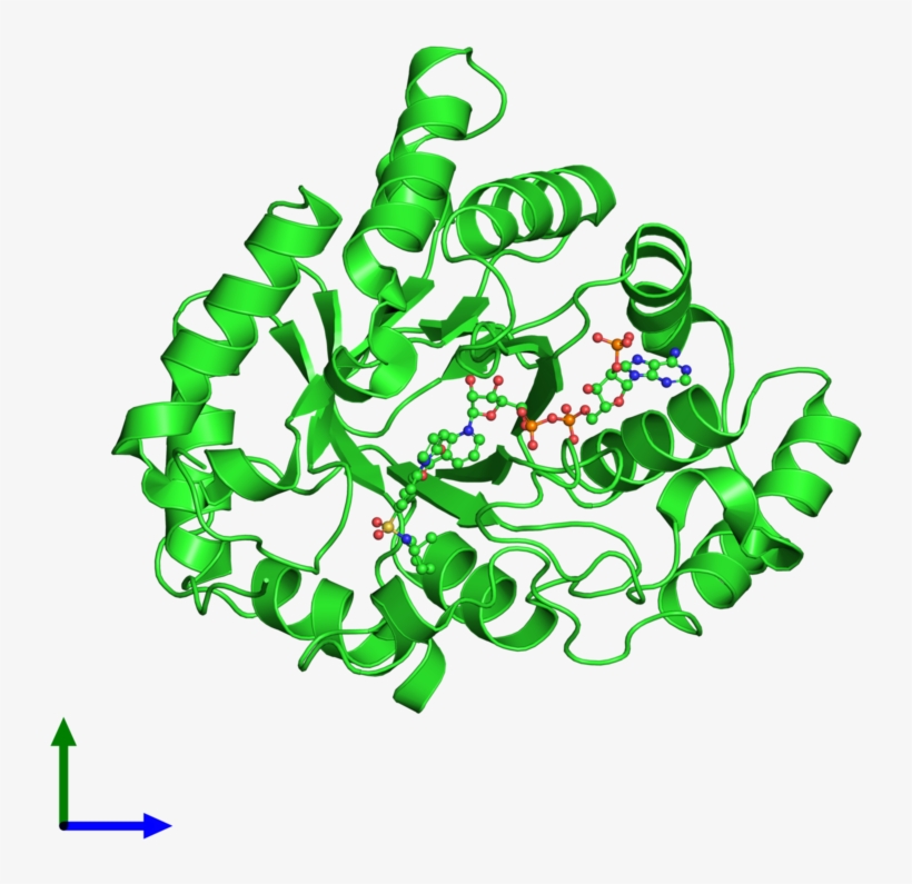 Pdb 4h7c Coloured By Chain And Viewed From The Front, transparent png download