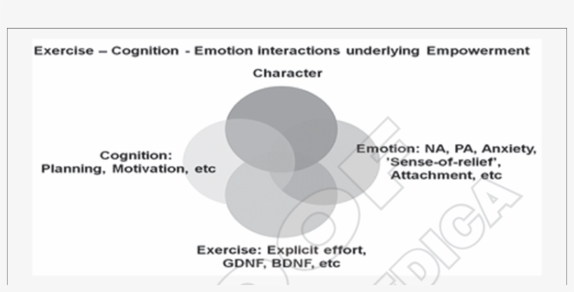 Gli Attributi Associati Ai Quattro Tipi Di Personalità, transparent png download