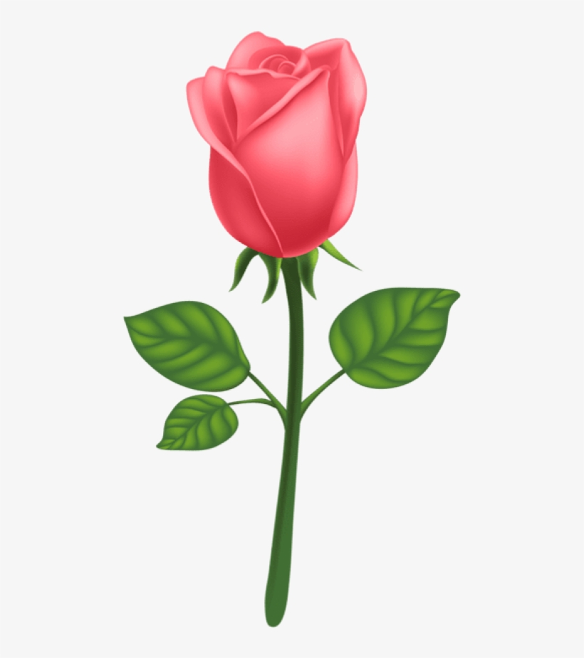 Download Red Deco Rose Png Images Background, transparent png download