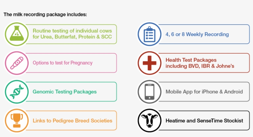 Https - //www - Youtube - - Be -, transparent png download