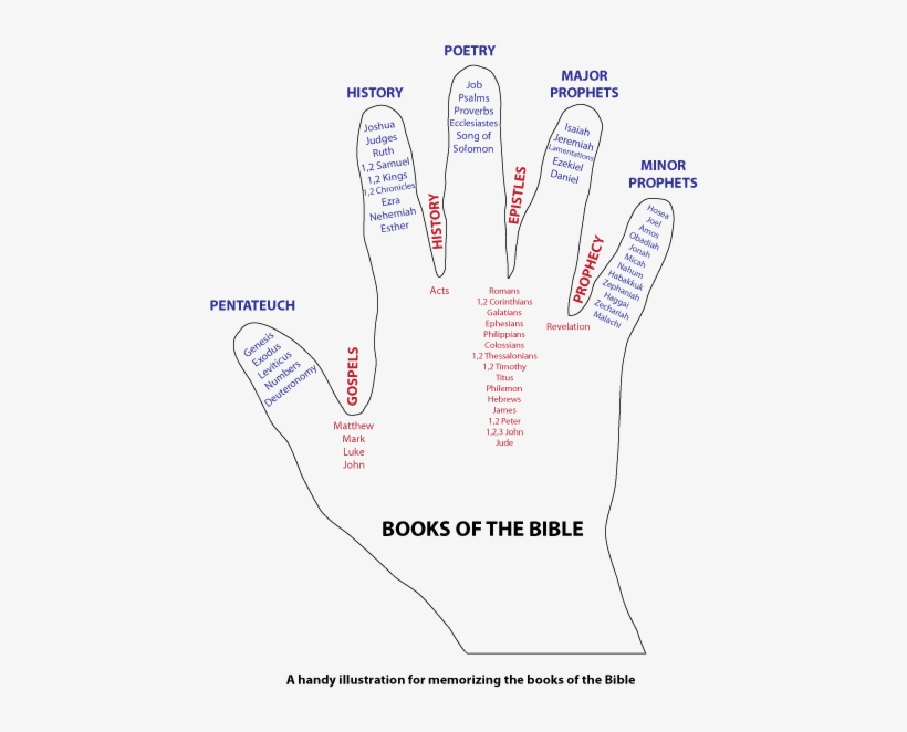 Como Memorizar Los Libros De La Biblia, transparent png download