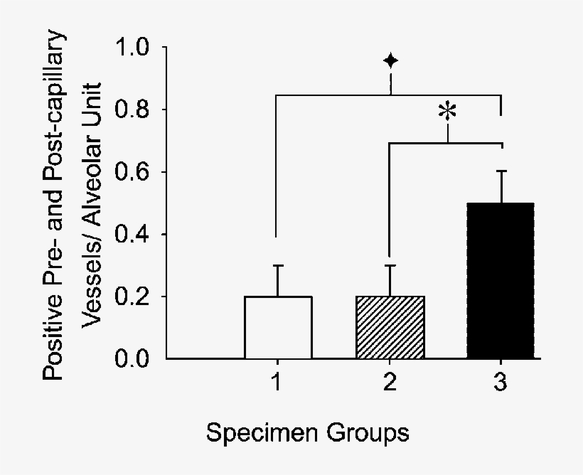The Number Of Positively Staining Pre-and Postcapillary, transparent png download