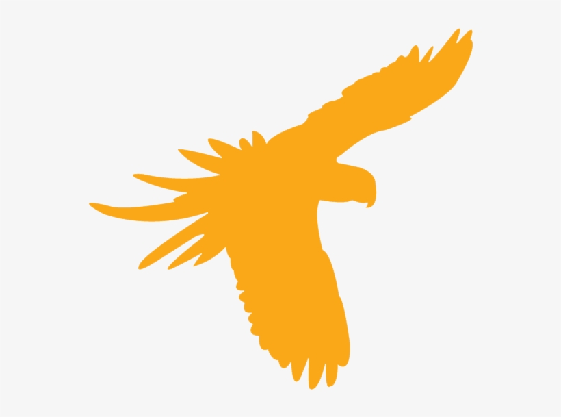 1 In 3 Species Are Under Threat, transparent png download