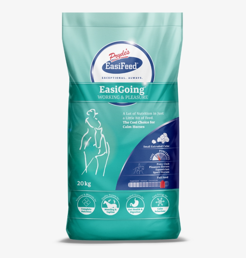 600x800px Easigoing Bag Front, transparent png download