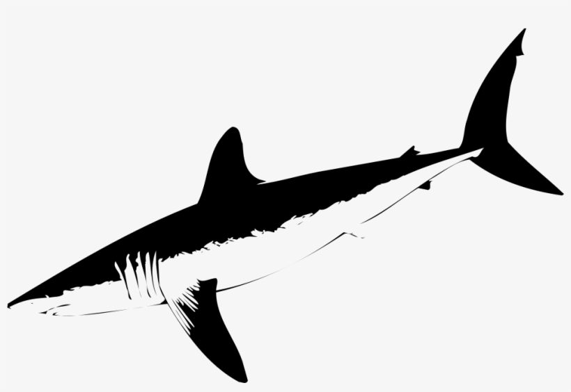 Png File, transparent png download