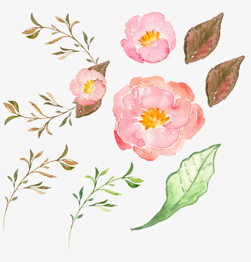 Flowers Pink Flower Transprent Png Free, transparent png download