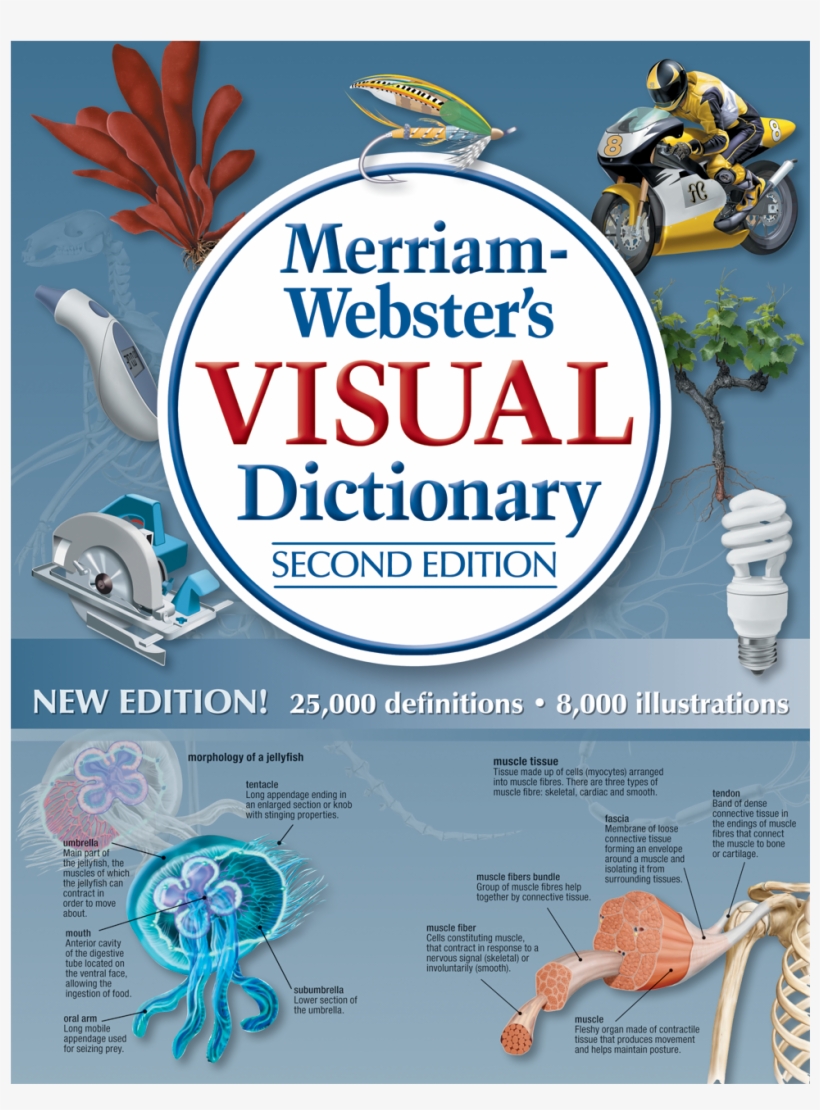 View Larger, transparent png download