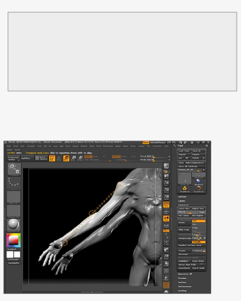 Posing The Interdimensional Traveler, transparent png download