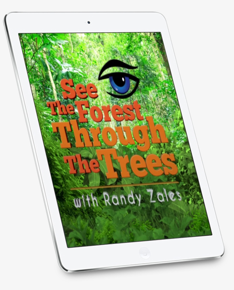 See The Forest Through The Trees, transparent png download