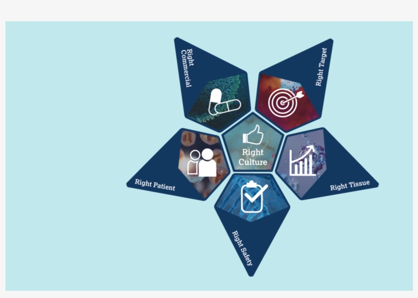 Transforming Astrazeneca's R&d Productivity, transparent png download