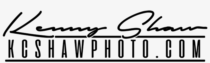 Photos, transparent png download