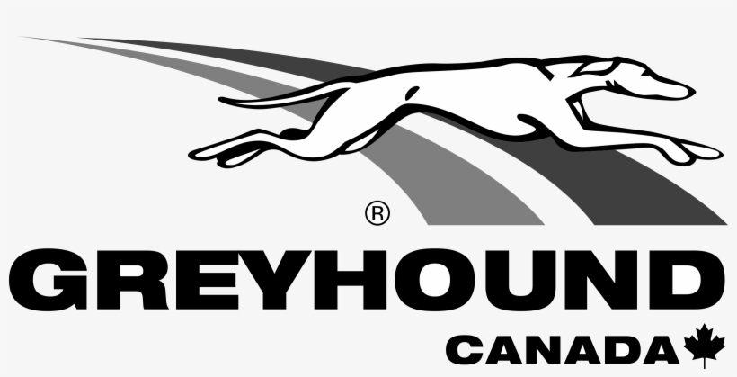 Greyhound Logo Png, transparent png download