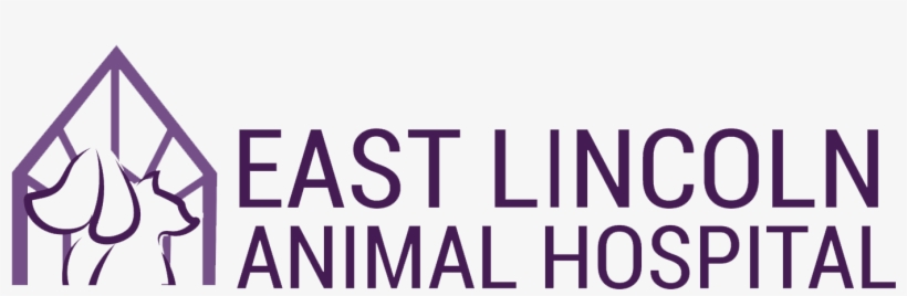 East Lincoln Animal Hospital, transparent png download