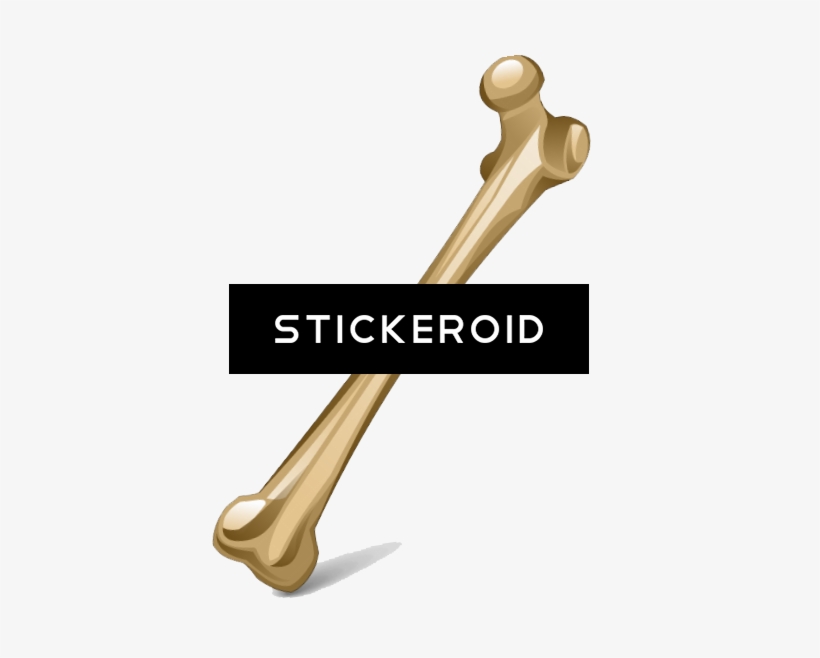 Bone, transparent png download