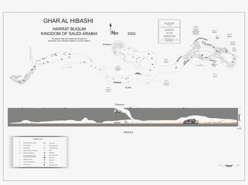 Download The Plate Of This Report, transparent png download