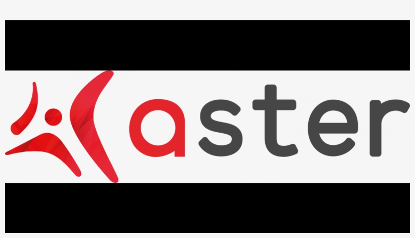 Aster Png, transparent png download