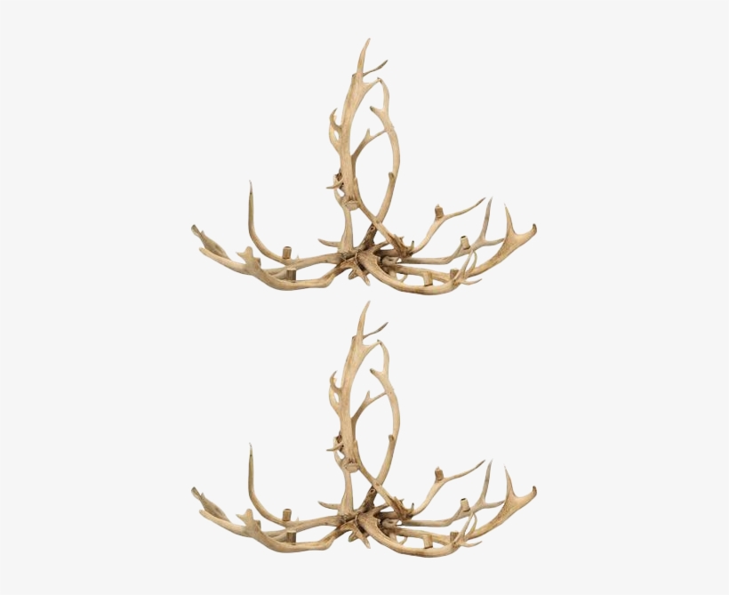Pair Of Red Deer Antler Chandeliers On Decaso, transparent png download