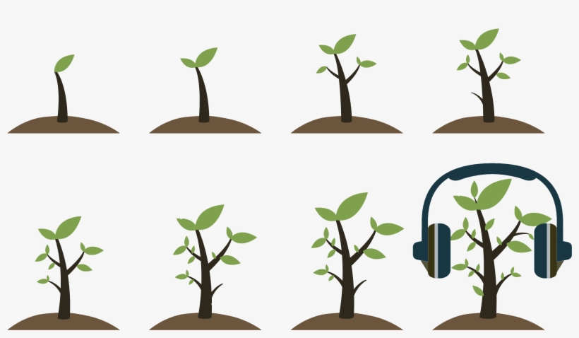 7, 2018, Noon - Grow Up Tree Icon, transparent png download