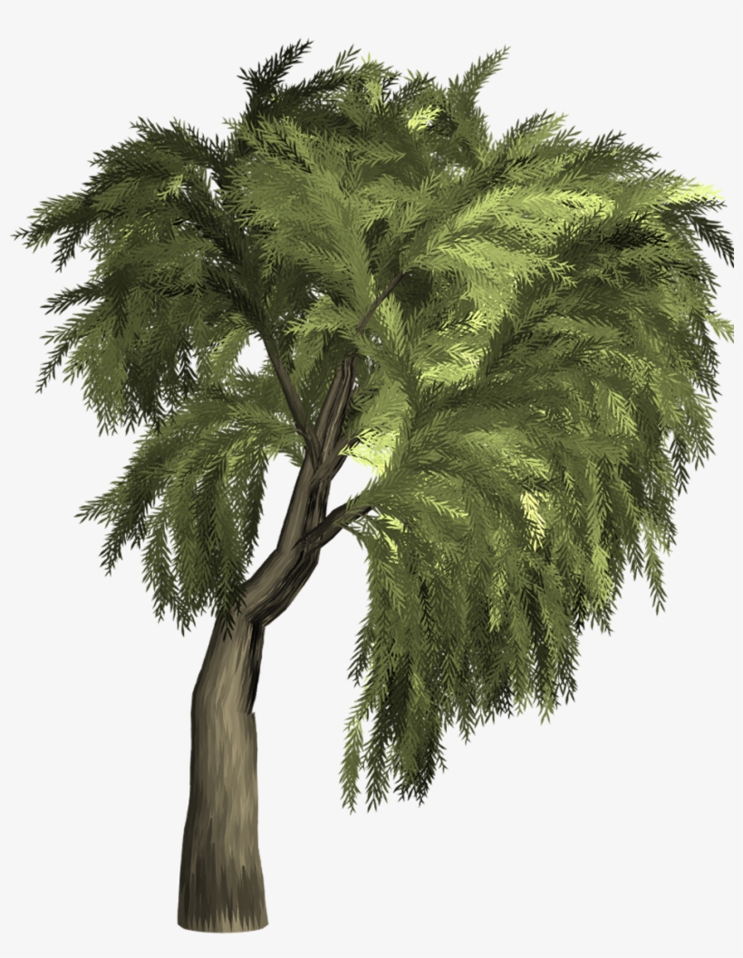 Arvore Png Fundo Transparente, transparent png download