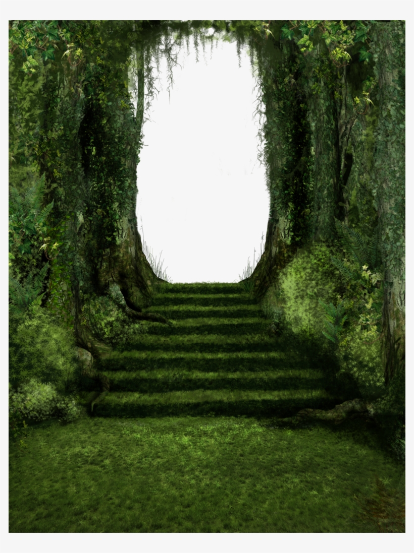 Banner Download Steps By Tigers Stock On Deviantart - Deviantart Stock Png, transparent png download