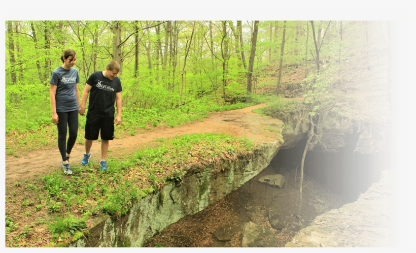 The Rockbridge Encounter - Trail Forest Transparent Background, transparent png download